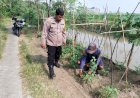 Polisi-Turun-ke-Lahan,-Dampingi-Petani-Wujudkan-Ketahanan-Pangan-di-Desa-Rejeni