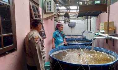 Bhabinkamtibmas-Polsek-Tulangan-Polresta-Sidoarjo-melaksanakan-peninjauan-budidaya-ikan-lele-di-Desa-Pangkemiri