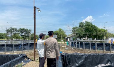 Polsek-Sedati-Polresta-Sidoarjo-Lakukan-Pengecekan-Budidaya-Udang-Intensif-di-Desa-Banjar-Kemuning