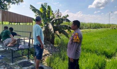 Peningkatan-Swasembada-Pangan,-Polisi-Turun-ke-Sawah-Dukung-Ketahanan-Sayur-Mayur