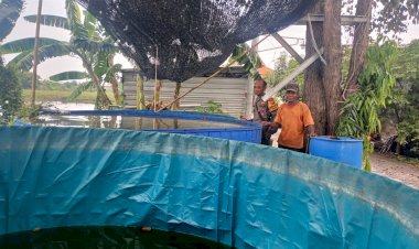 Polsek-Candi-Cek-Ketahanan-Pangan-Program-P2B-di-Desa-Wedoro-Klurak