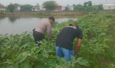 Bhabinkamtibmas-Permisan-Bersama-Warga-Inventarisasi-Kendala-Pengelolaan-Lahan-Pekarangan-untuk-Dukung-Ketahanan-Pangan