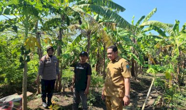Polsek-Gedangan-bersama-Perangkat-Desa-Punggul-Tinjau-Lahan-Ketahanan-Pangan-Buah