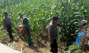 Polsek-Balongbendo-Galang-Petani-Wujudkan-Swasembada-Pangan